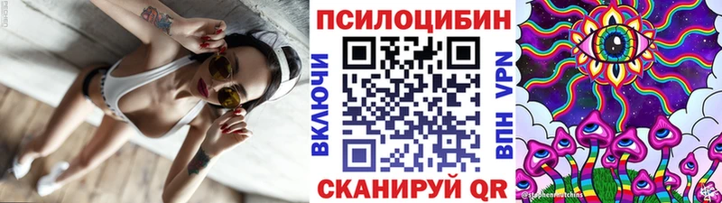 Купить  Бирск  Галлюциногенные грибы Cubensis 